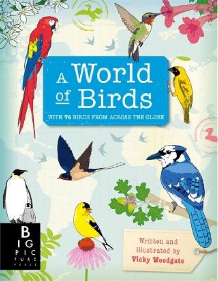 Picture of World of Birds
