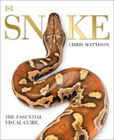 Picture of Snake