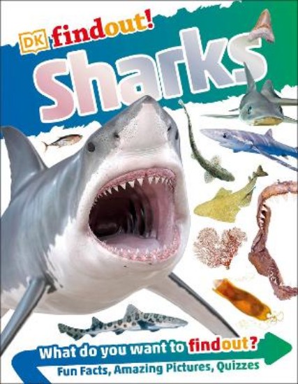 Picture of Sharks