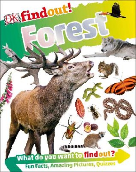 Picture of Forest
