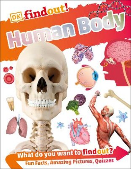 Picture of Human Body