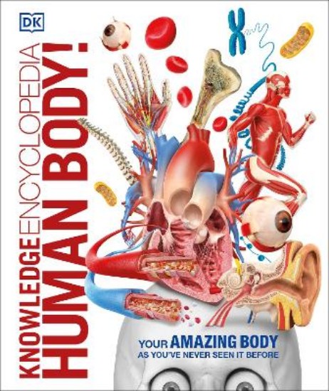 Picture of Knowledge Encyclopedia Human Body!