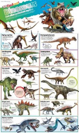 Picture of DKfindout! Dinosaurs Poster