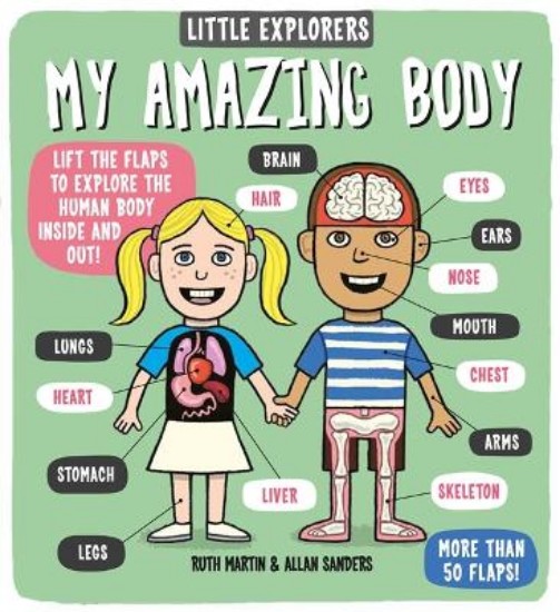 Picture of Little Explorers: My Amazing Body