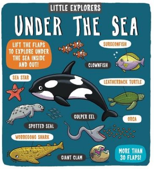 Picture of Little Explorers Under the Sea