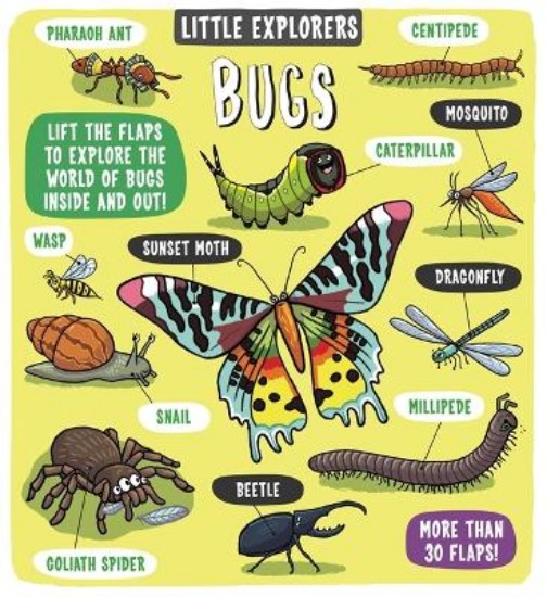 Picture of Little Explorers Bugs