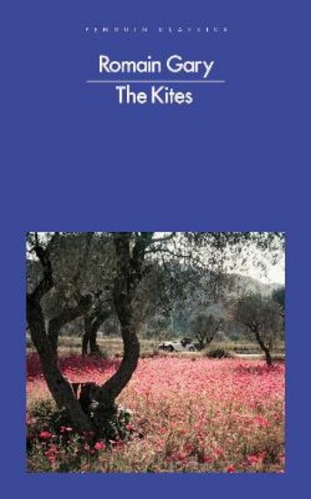 Picture of Kites