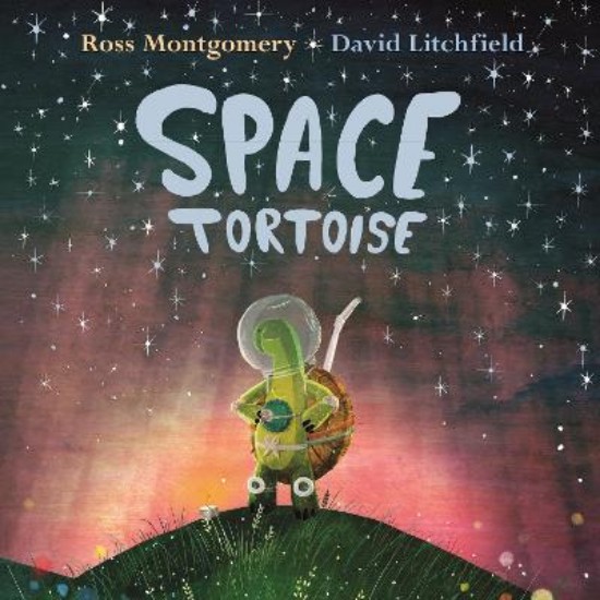 Picture of Space Tortoise