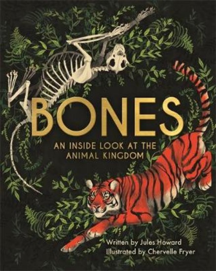 Picture of Bones