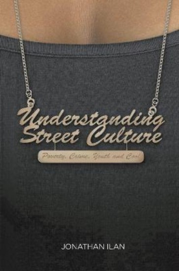 Picture of Understanding Street Culture: Poverty, Crime, Youth and Cool