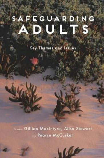 Picture of Safeguarding Adults: Key Themes and Issues