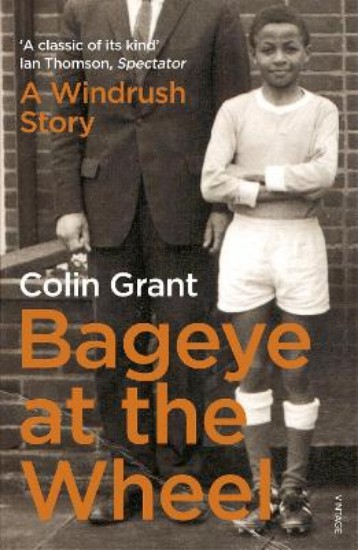 Picture of Bageye at the Wheel: A 1970s Childhood in Suburbia