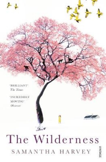 Picture of Wilderness