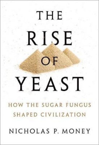 Picture of Rise of Yeast: How the sugar fungus shaped civilisation