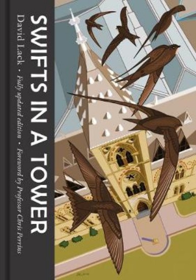 Picture of Swifts in a Tower