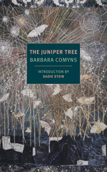 Picture of Juniper Tree