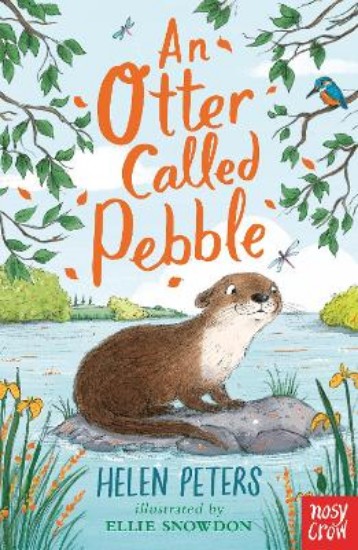 Picture of Otter Called Pebble