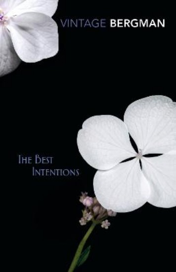 Picture of Best Intentions