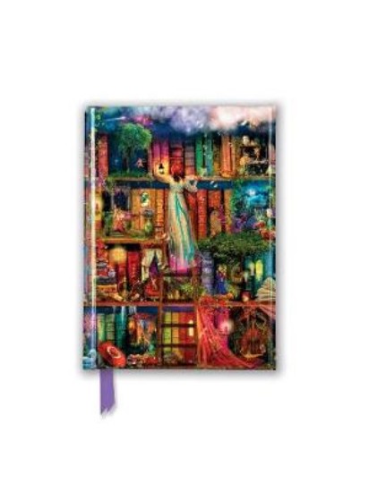 Picture of Aimee Stewart: Treasure Hunt Bookshelves (Foiled Pocket Journal)