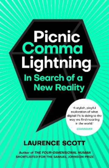 Picture of Picnic Comma Lightning: In Search of a New Reality