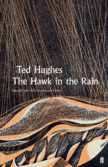 Picture of Hawk in the Rain