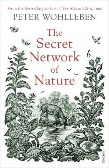 Picture of Secret Network of Nature: The Delicate Balance of All Living Things