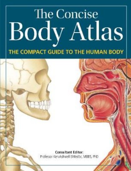 Picture of Concise Body Atlas