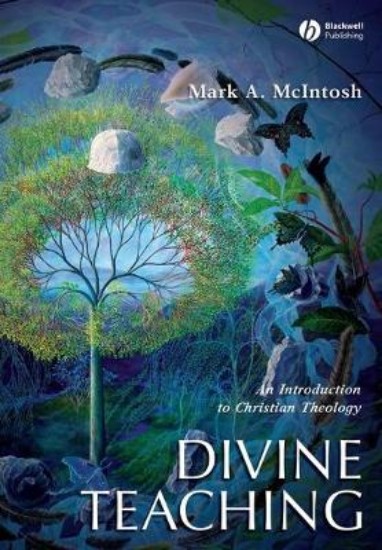 Picture of Divine Teaching: An Introduction to Christian Theology