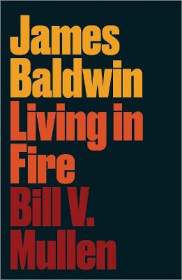 Picture of James Baldwin: Living in Fire