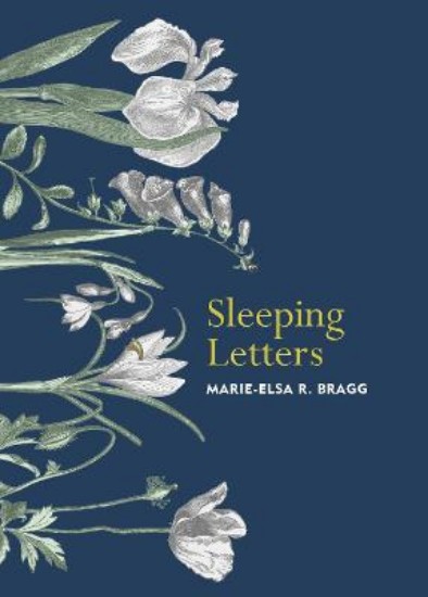 Picture of Sleeping Letters