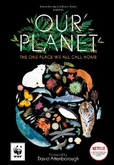 Picture of Our Planet: The One Place We All Call Home