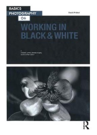 Picture of Basics Photography 06: Working in Black & White