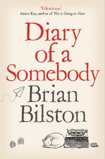 Picture of Diary of a Somebody