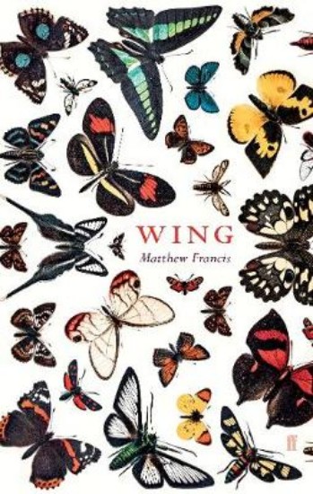 Picture of Wing