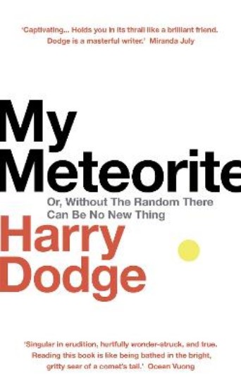 Picture of My Meteorite: Or, Without The Random There Can Be No New Thing