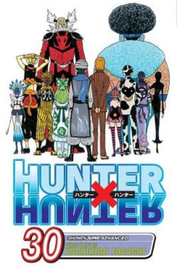 Picture of Hunter x Hunter, Vol. 30