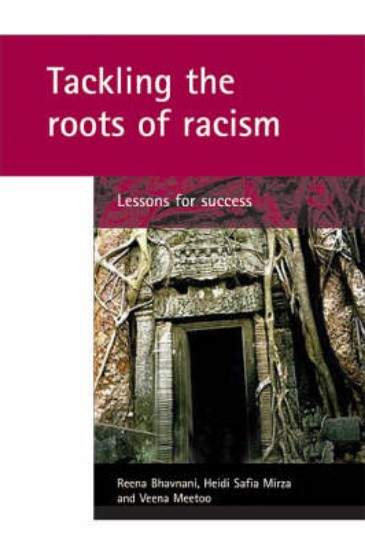 Picture of Tackling the roots of racism: Lessons for success