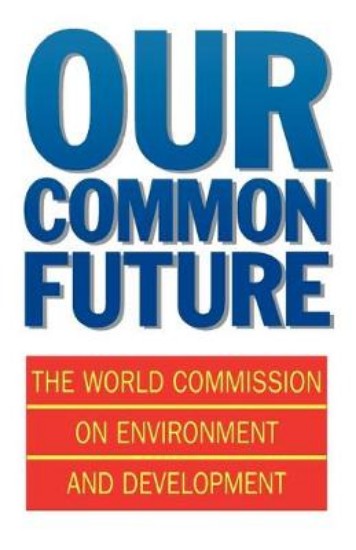 Picture of Our Common Future
