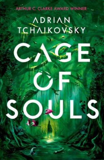 Picture of Cage of Souls