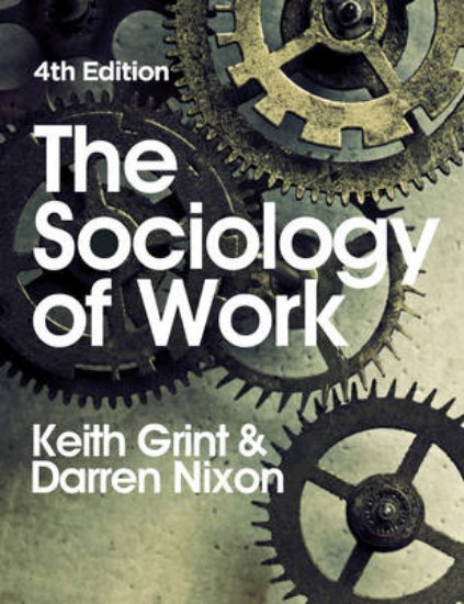 Picture of The Sociology of Work