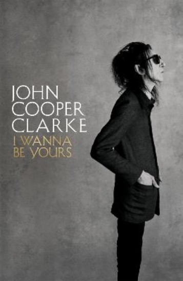 Picture of I Wanna Be Yours