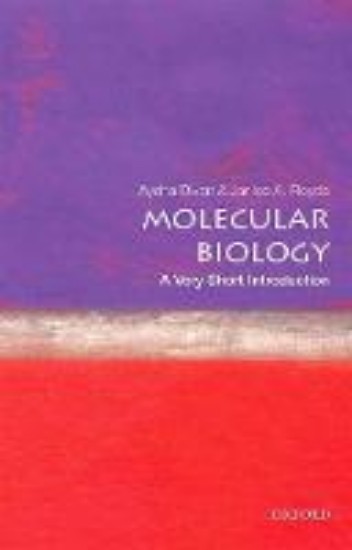 Picture of Molecular Biology:  A Very Short Introduction