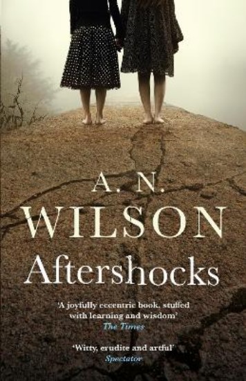 Picture of Aftershocks