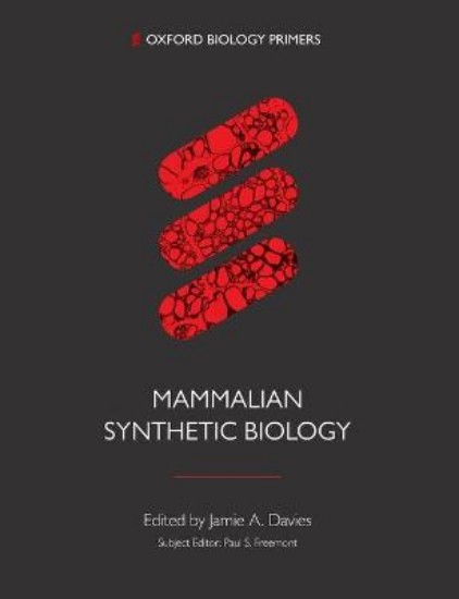 Picture of Mammalian Synthetic Biology