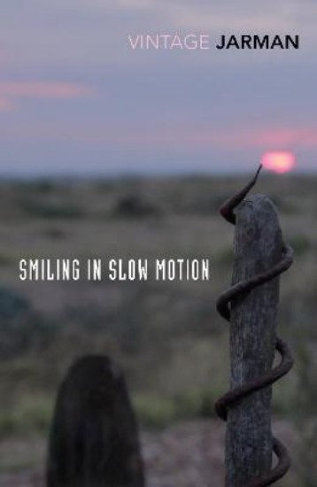 Picture of Smiling in Slow Motion: Journals, 1991-1994