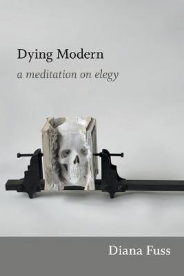Picture of Dying Modern: A Meditation on Elegy