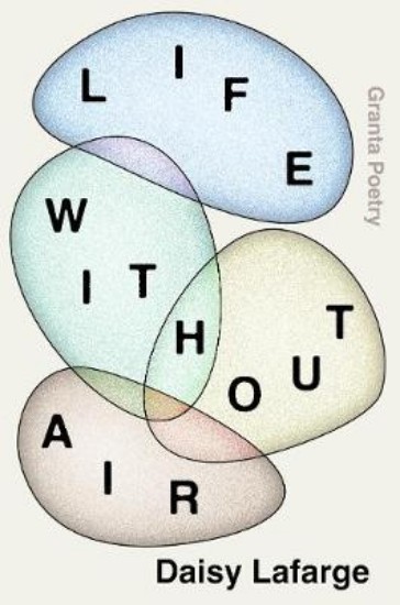 Picture of Life Without Air
