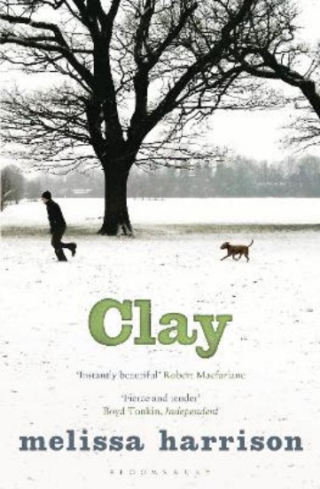 Picture of Clay