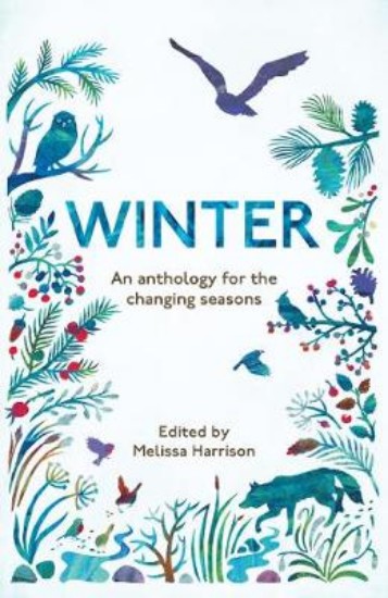 Picture of Winter: An Anthology for the Changing Seasons