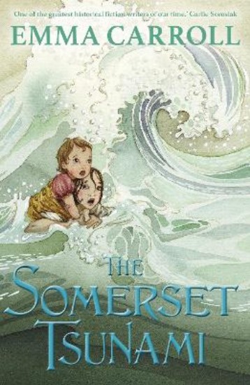 Picture of The Somerset Tsunami